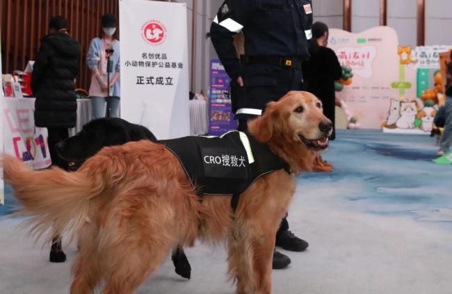 ESG創新發展，“小動物保護公益基金”成立
