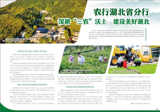 農行湖北省分行：深耕“三農”沃土 建設美好湖北