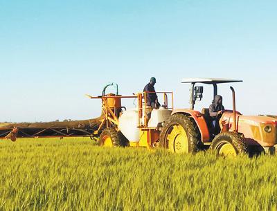 中贊友誼農場的故事