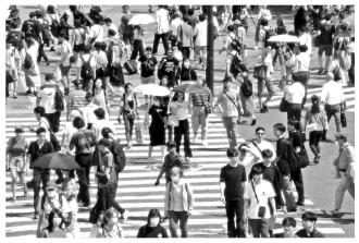 65歲以上老年人口占比達29.1%  日本勞動力短缺問題日益嚴峻