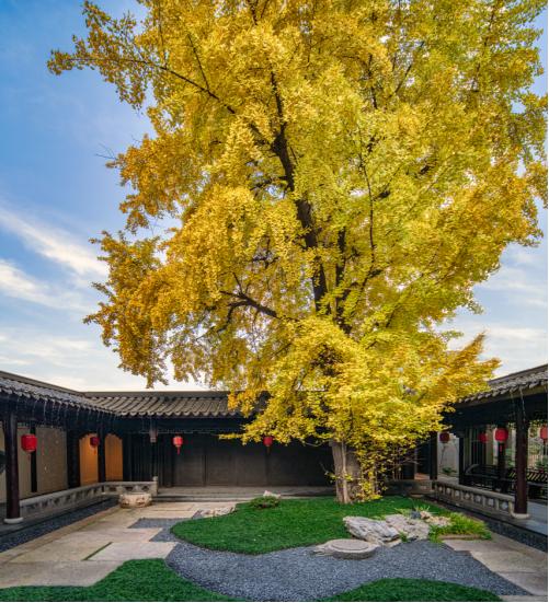 建發房產 匠造成都東方美學詩意棲居