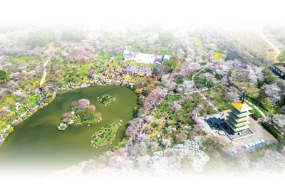 湖北促進文旅市場加快復甦