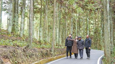 四十年，種好守好一片林（綠水青山守護者）