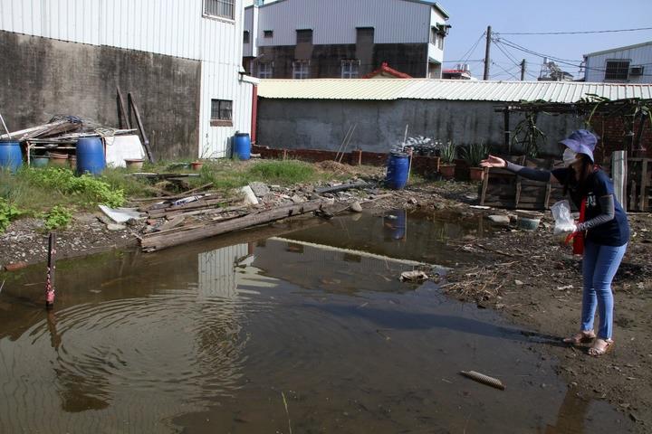 臺灣出現今年首例登革熱死亡病例