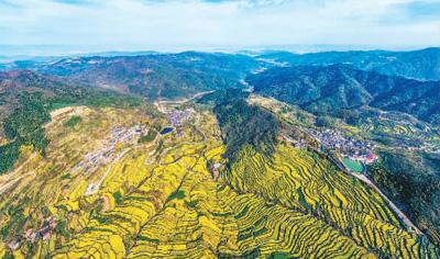 浙江：爲鄉村文旅融資賦能