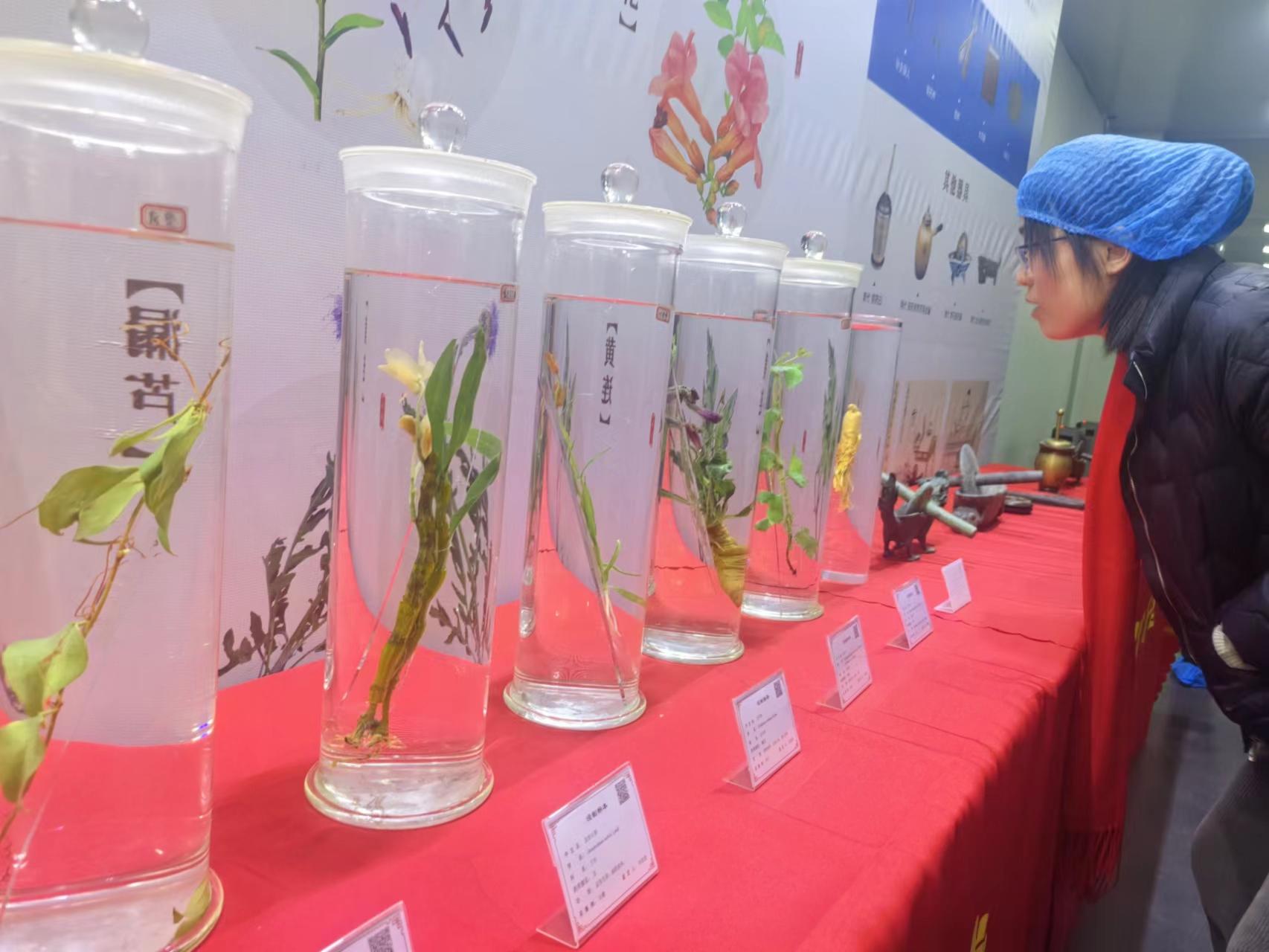 “中華老字號”打造中藥智造新場景