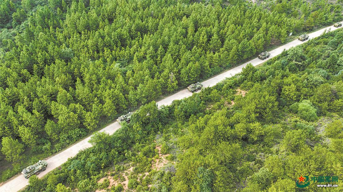 礪兵山野，機動攻防丨陸軍某合成旅實兵實彈對抗演練