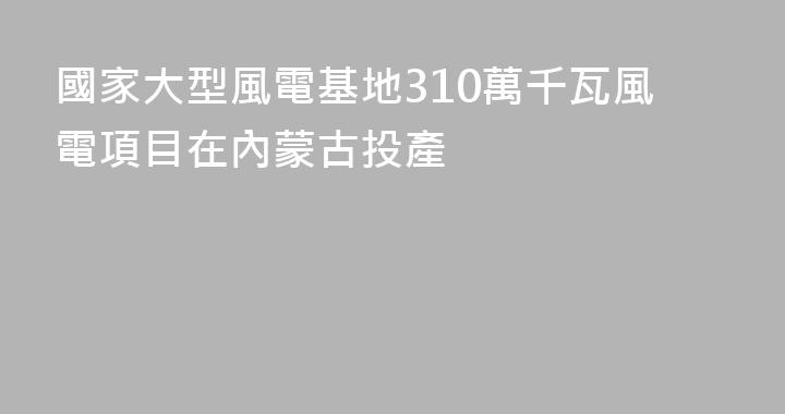 國家大型風電基地310萬千瓦風電項目在內蒙古投產
