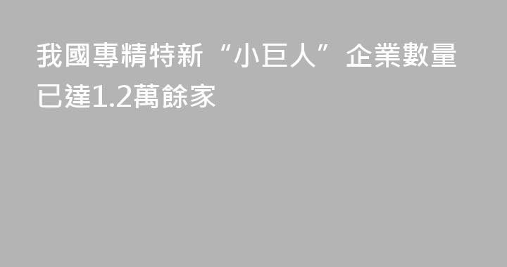 我國專精特新“小巨人”企業數量已達1.2萬餘家