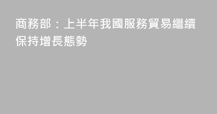 商務部：上半年我國服務貿易繼續保持增長態勢
