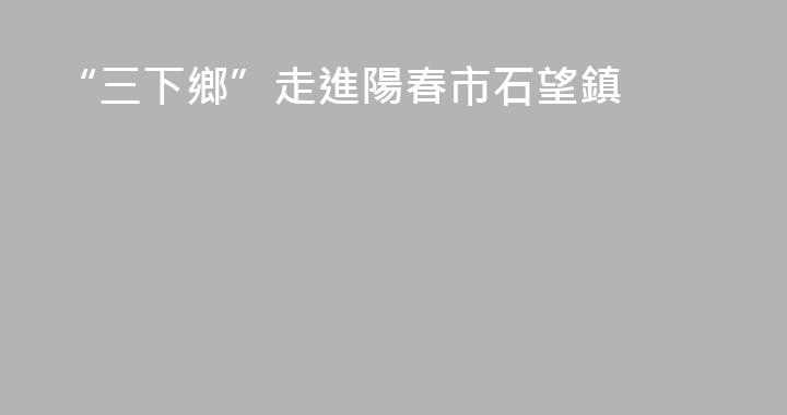 “三下鄉”走進陽春市石望鎮