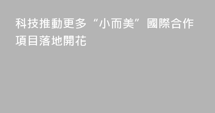 科技推動更多“小而美”國際合作項目落地開花