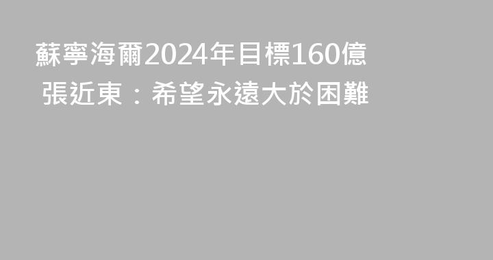 蘇寧海爾2024年目標160億 張近東：希望永遠大於困難