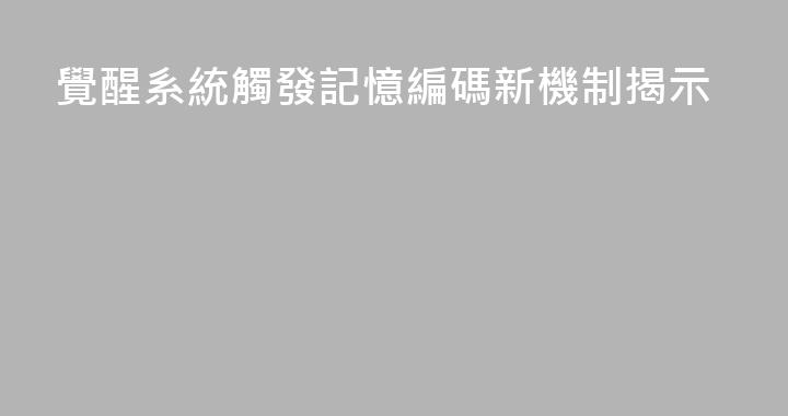 覺醒系統觸發記憶編碼新機制揭示