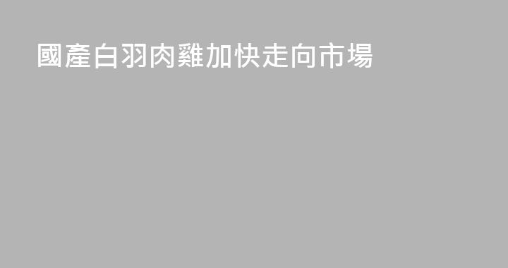 國產白羽肉雞加快走向市場