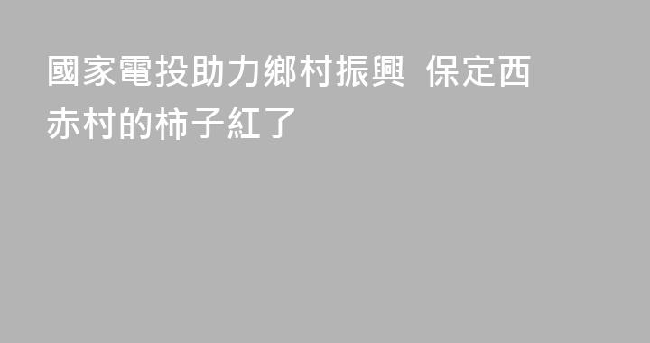 國家電投助力鄉村振興  保定西赤村的柿子紅了