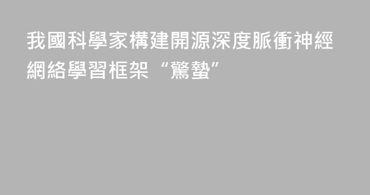 我國科學家構建開源深度脈衝神經網絡學習框架“驚蟄”