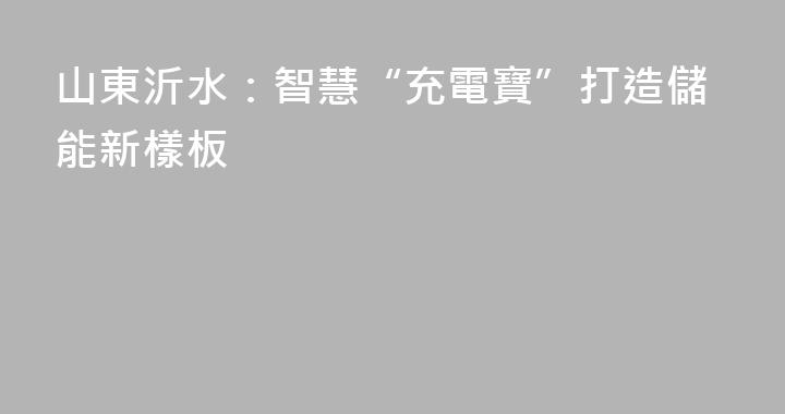 山東沂水：智慧“充電寶”打造儲能新樣板