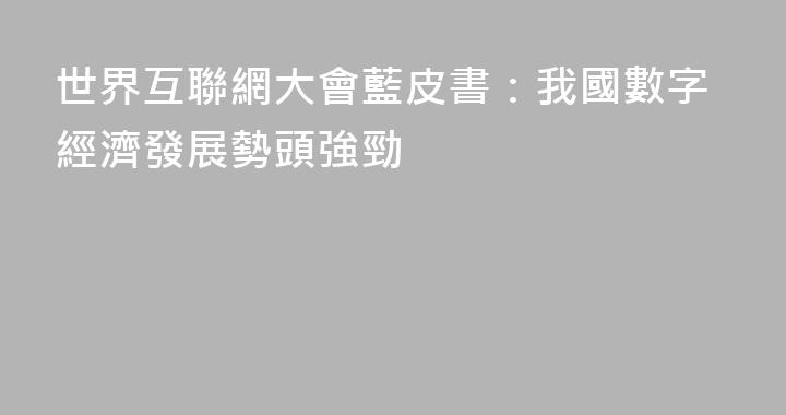 世界互聯網大會藍皮書：我國數字經濟發展勢頭強勁