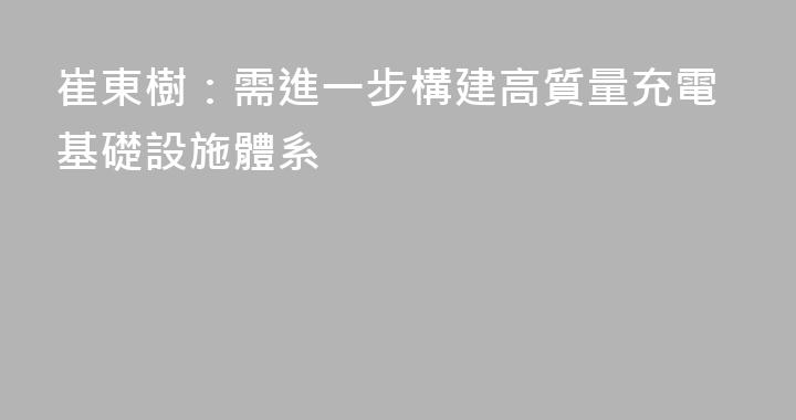 崔東樹：需進一步構建高質量充電基礎設施體系