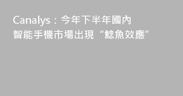 Canalys：今年下半年國內智能手機市場出現“鯰魚效應”