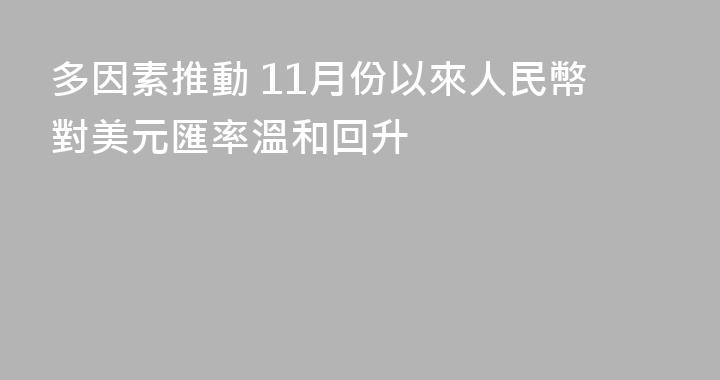 多因素推動 11月份以來人民幣對美元匯率溫和回升