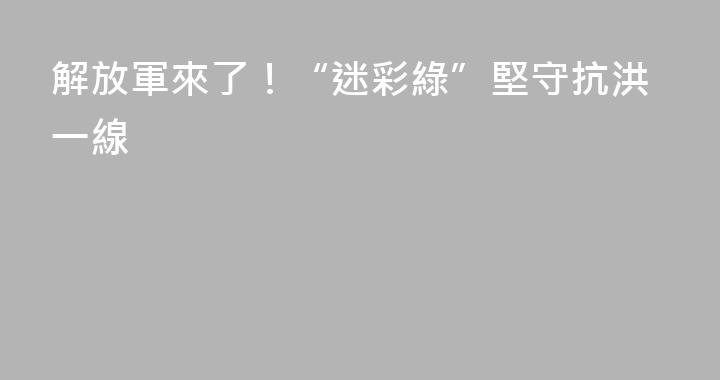 解放軍來了！“迷彩綠”堅守抗洪一線