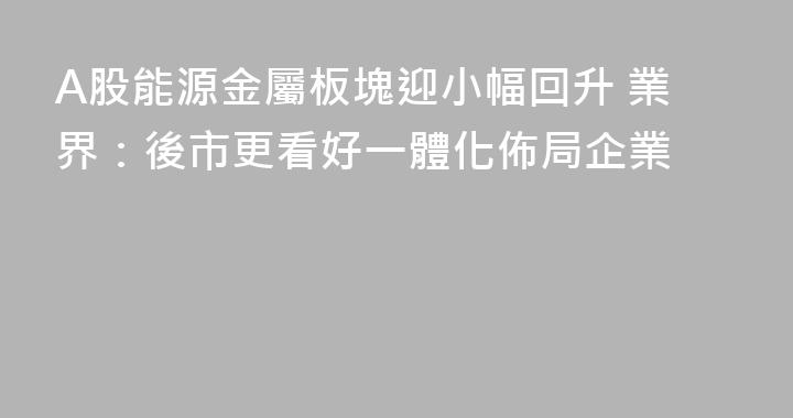 A股能源金屬板塊迎小幅回升 業界：後市更看好一體化佈局企業