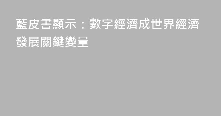 藍皮書顯示：數字經濟成世界經濟發展關鍵變量