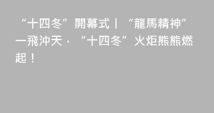 “十四冬”開幕式丨“龍馬精神”一飛沖天，“十四冬”火炬熊熊燃起！