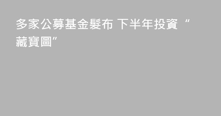 多家公募基金髮布 下半年投資“藏寶圖”