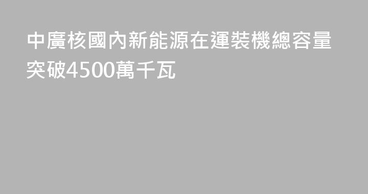 中廣核國內新能源在運裝機總容量突破4500萬千瓦