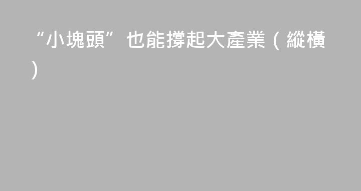 “小塊頭”也能撐起大產業（縱橫）