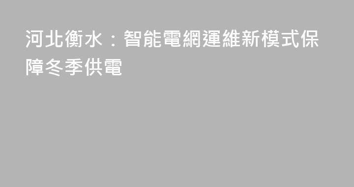 河北衡水：智能電網運維新模式保障冬季供電
