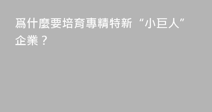 爲什麼要培育專精特新“小巨人”企業？