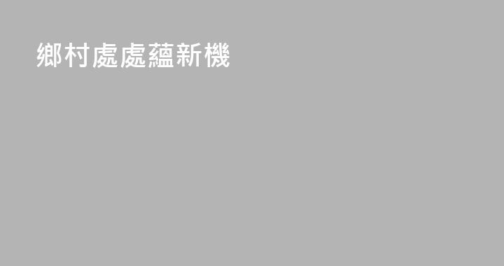 鄉村處處蘊新機