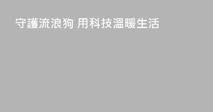 守護流浪狗 用科技溫暖生活