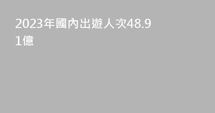 2023年國內出遊人次48.91億