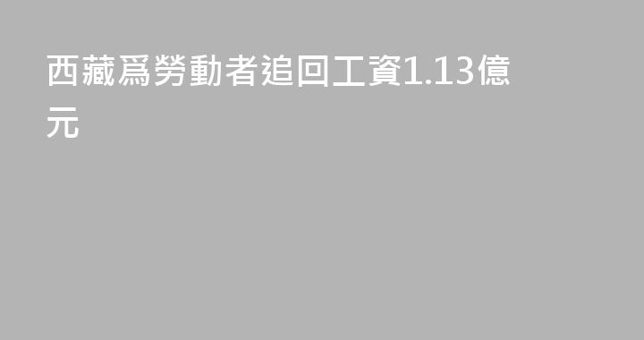 西藏爲勞動者追回工資1.13億元