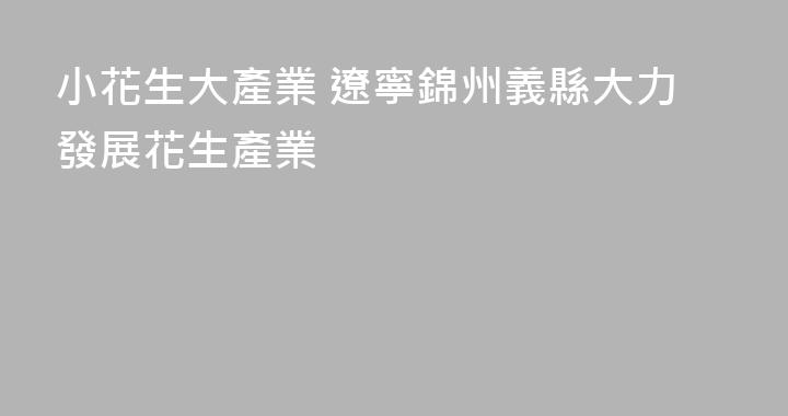 小花生大產業 遼寧錦州義縣大力發展花生產業