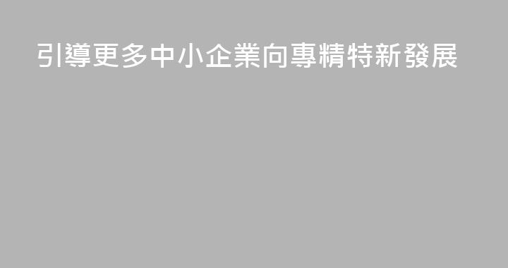 引導更多中小企業向專精特新發展
