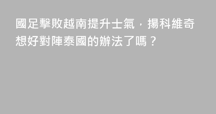 國足擊敗越南提升士氣，揚科維奇想好對陣泰國的辦法了嗎？
