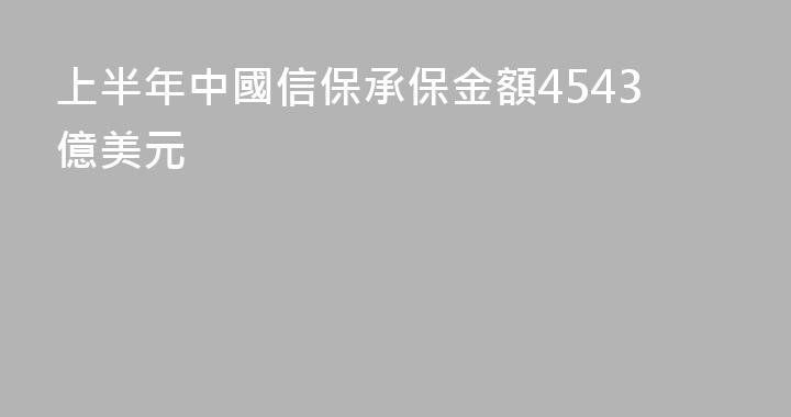 上半年中國信保承保金額4543億美元
