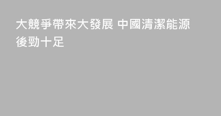 大競爭帶來大發展 中國清潔能源後勁十足