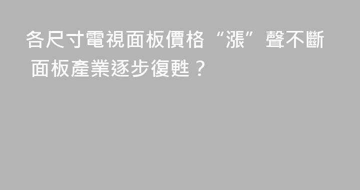 各尺寸電視面板價格“漲”聲不斷 面板產業逐步復甦？