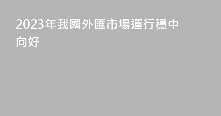 2023年我國外匯市場運行穩中向好