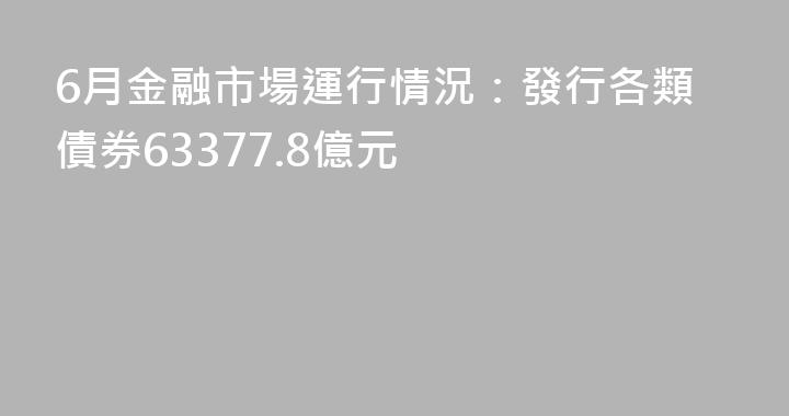 6月金融市場運行情況：發行各類債券63377.8億元