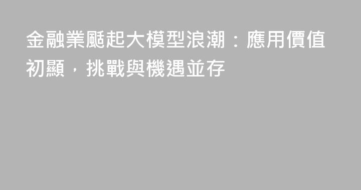 金融業颳起大模型浪潮：應用價值初顯，挑戰與機遇並存