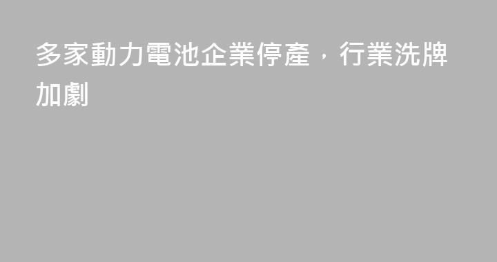 多家動力電池企業停產，行業洗牌加劇