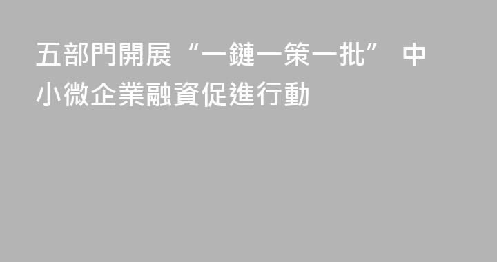 五部門開展“一鏈一策一批” 中小微企業融資促進行動